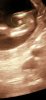 Screenshot_20240822_184958_Gallery.jpg