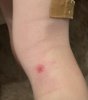 IMG_0640.jpeg