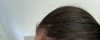 IMG_1038.jpeg