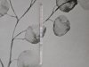 20240830_080529.jpg