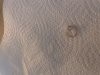 IMG_1821.jpeg