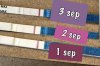 IMG_7033.jpeg