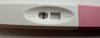 IMG_1922.jpeg