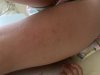 IMG_5159.jpeg