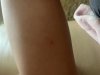 IMG_4097.jpeg