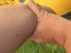 IMG_4075.jpeg