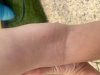 IMG_4073.jpeg