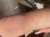IMG_4069.jpeg