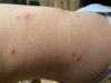 IMG_2049.jpeg