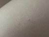 IMG_5274.jpeg