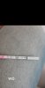 Screenshot_20240924_091354_Gallery.jpg