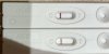 IMG_7991.jpeg