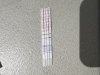IMG_2898.jpeg