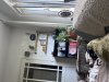 IMG_2459.jpeg