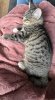IMG_6771.jpeg