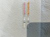 IMG_3060.jpeg