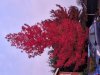20241020_080843.jpg