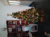 IMG_20241023_102652.jpg