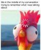 IMG_0604.jpeg