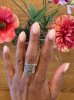 IMG_5244.jpeg