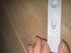 IMG_5386.jpeg