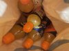 IMG_2597.jpeg