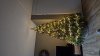 IMG-20241101-WA0006.jpeg