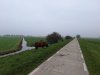 20241106_085814.jpg