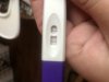 IMG_0582.jpeg