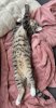IMG_7917.jpeg