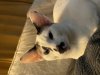 IMG_7456.jpeg