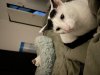 IMG_7439.jpeg