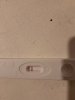 IMG-20241118-WA0000.jpg