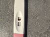IMG_3998.jpeg