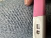 IMG_4005.jpeg