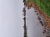 20241211_093851.jpg