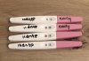 IMG_6184.jpeg