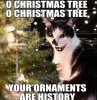 9b9955b55f9a0e76cf7a01476e619d2a.jpg