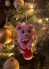 IMG_4322.jpeg