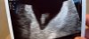 IMG_8789.jpeg