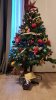 IMG-20241217-WA0002.jpeg