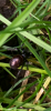IMG_7245.png