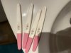 IMG_7697.jpeg