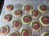 IMG_2298.jpeg