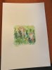 IMG_8631.jpeg