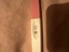 IMG_3346.jpeg