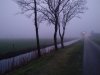 IMG_20241227_082947.jpg