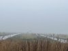IMG_5417.jpeg