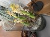 IMG_4658.jpeg