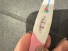 IMG_7917.jpeg